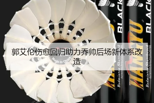 郭艾伦伤愈回归助力乔帅后场新体系改造
