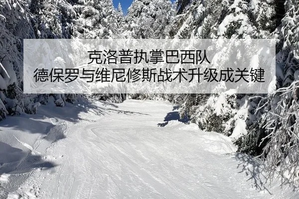 ke-luo-pu-zhi-zhang-ba-xi-dui-de-bao-luo-yu-wei-ni-xiu-si-zhan-shu-sheng-ji-cheng-guan-jian-3-382.jpg