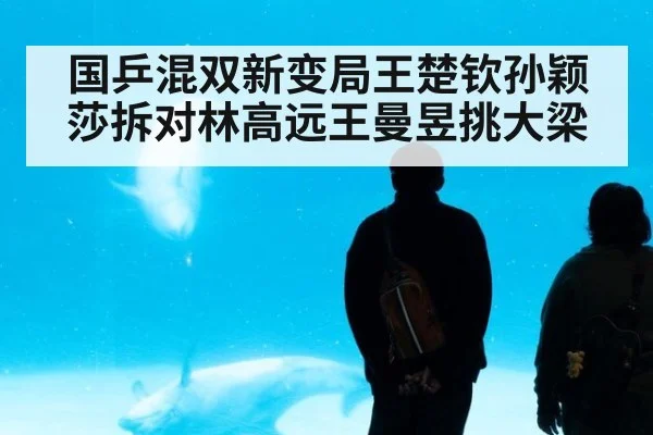 国乒混双新变局王楚钦孙颖莎拆对林高远王曼昱挑大梁